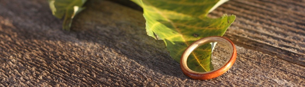bentwood rings…  from bojt studio