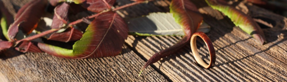 bentwood rings…  from bojt studio