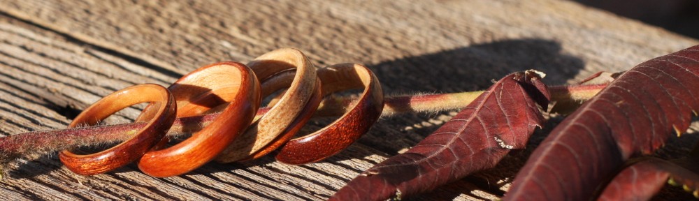 bentwood rings…  from bojt studio